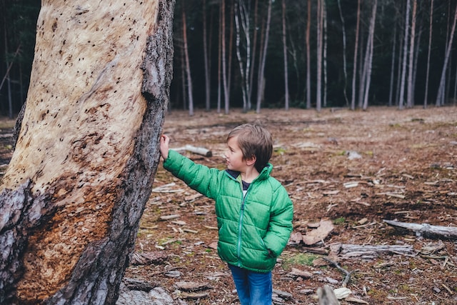 annie-spratt-niños-constelaciones-unsplash